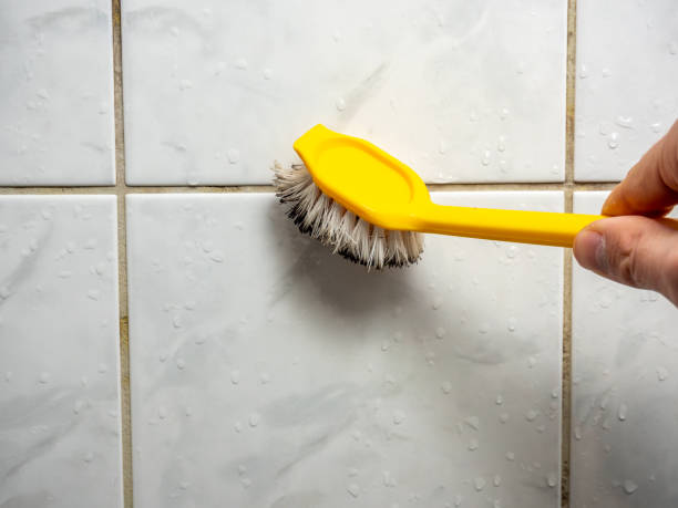 Mount Pleasant, PA Mold Removal Company