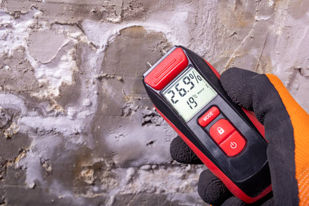 Best Same-Day Mold Removal  in Mount Pleasant, PA
