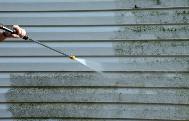 Best Commercial Mold Removal  in Mount Pleasant, PA