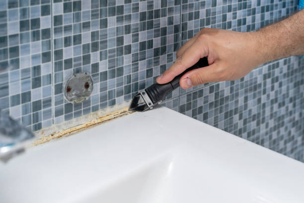 Best Mold Removal Process  in Mount Pleasant, PA